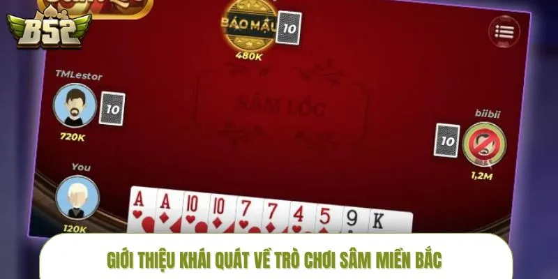 luat-choi-sam-mien-bac-gioi-thieu